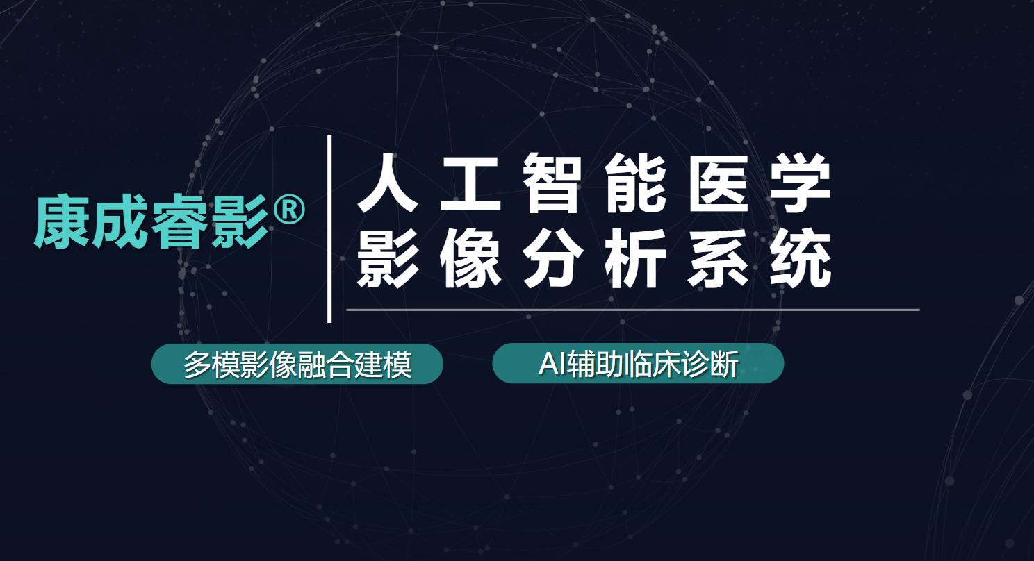 康成睿影人工智能分析系统